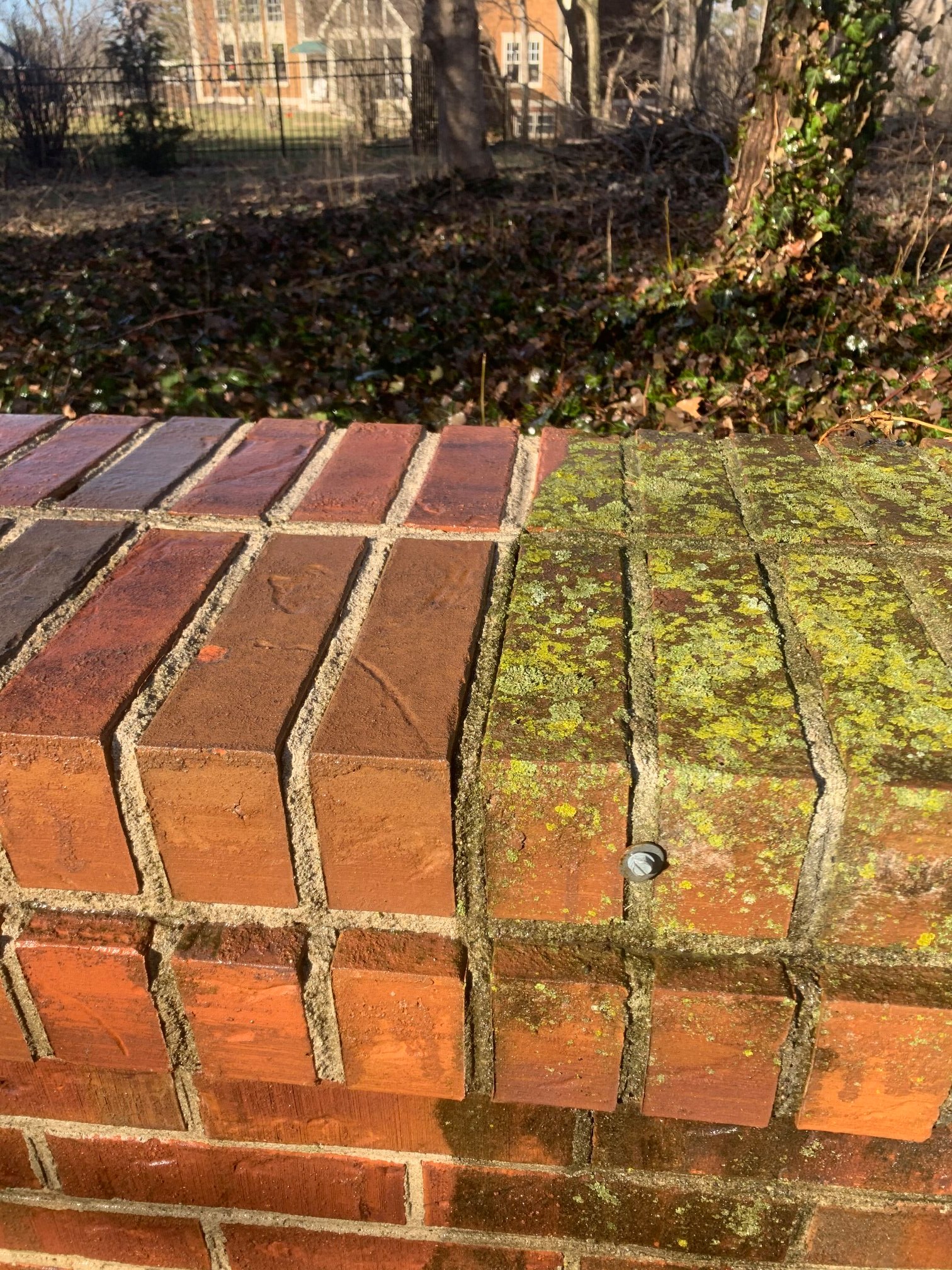algae, moss, & mildew, removal