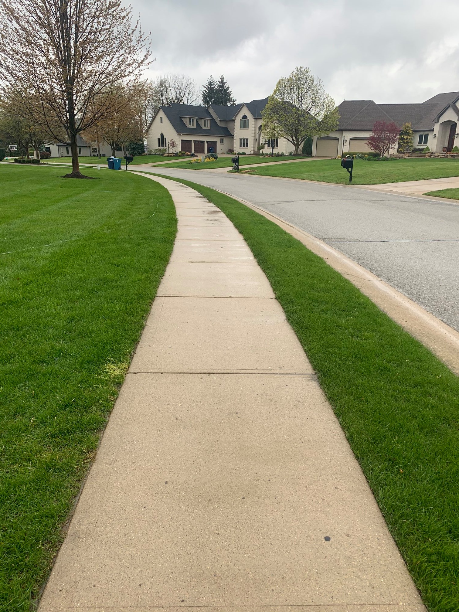 Sidewalk Pressure Washing
